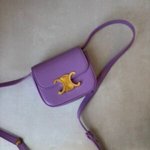 Celine Mini Claude